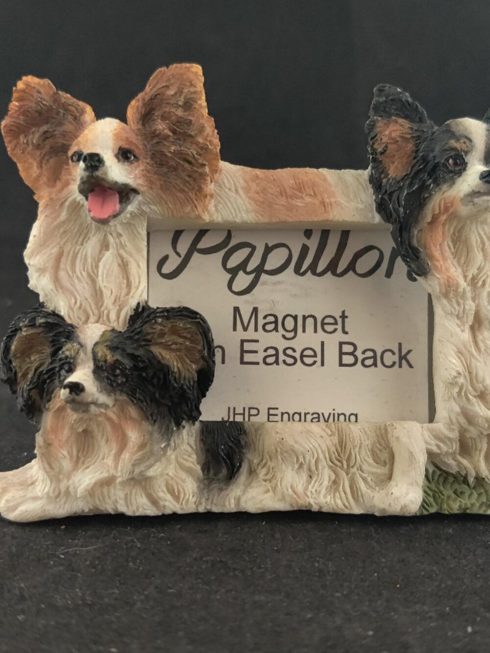 Vintage Resin Papillon Horizontal Magnet/Frame